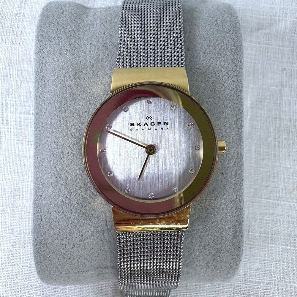 Skagen Denmark Two Tone Mesh Bracelet Watch New Battery Adjustable Strap